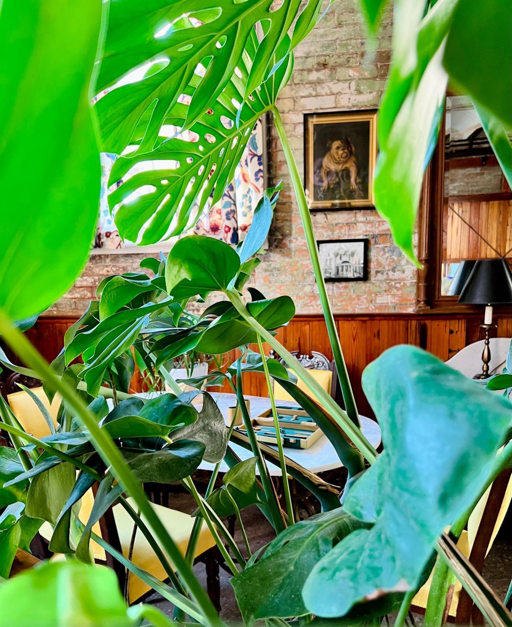 Inn At The Old Jail นิวออร์ลีนส์ ภายนอก รูปภาพ